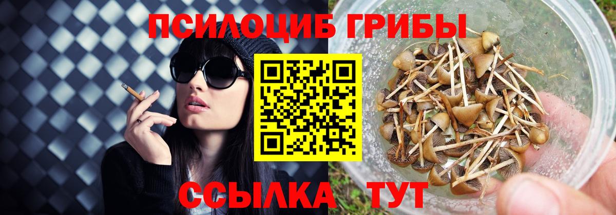 Галлюциногенные грибы прущие грибы  Вход с VPN  Владикавказ 