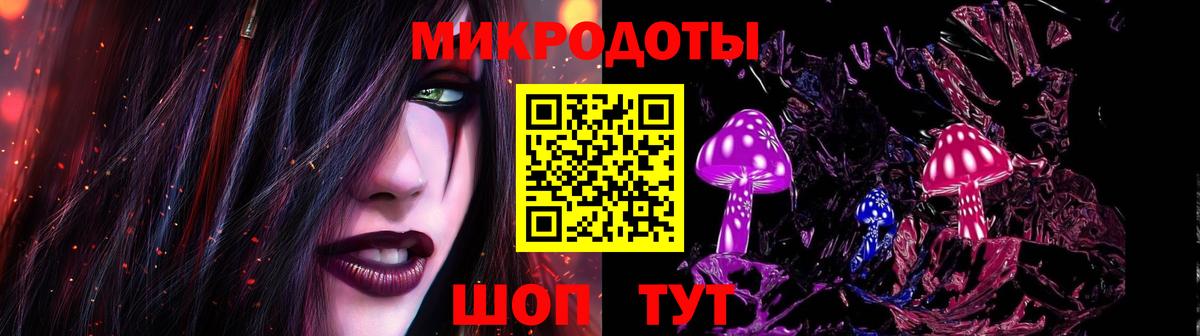 Псилоцибиновые грибы Psilocybine cubensis Владикавказ